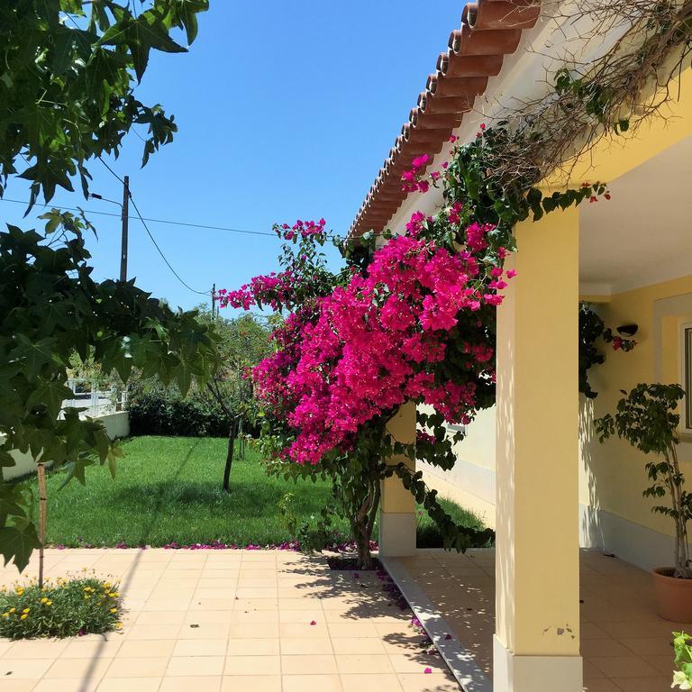 Por-Do-Sol Villa Sao Pedro do Corval ห้อง รูปภาพ